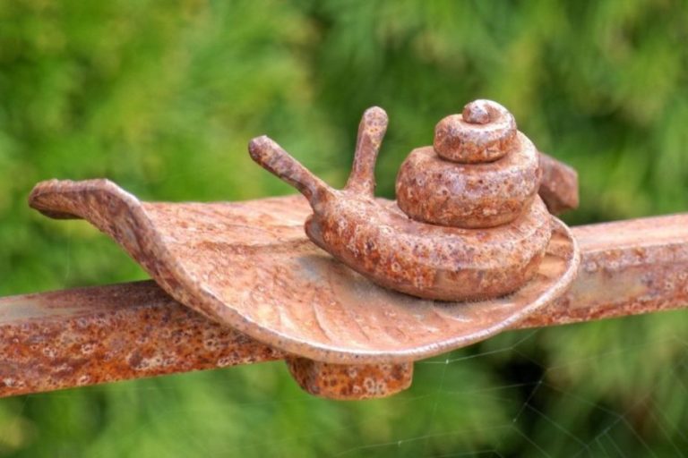 cuivre-contre-les-limaces-et-les-escargots-930x620
