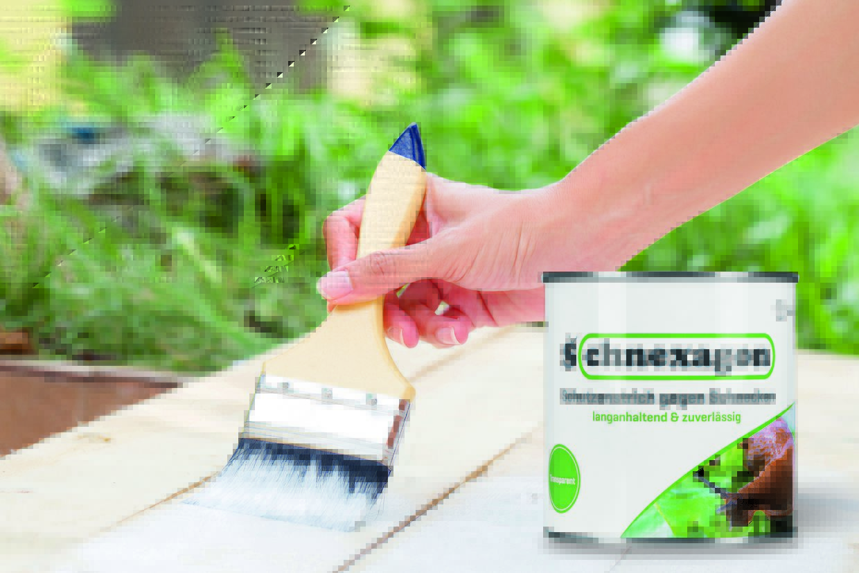 Control de babosas/caracoles casero para su jardín Bricolaje / DIY