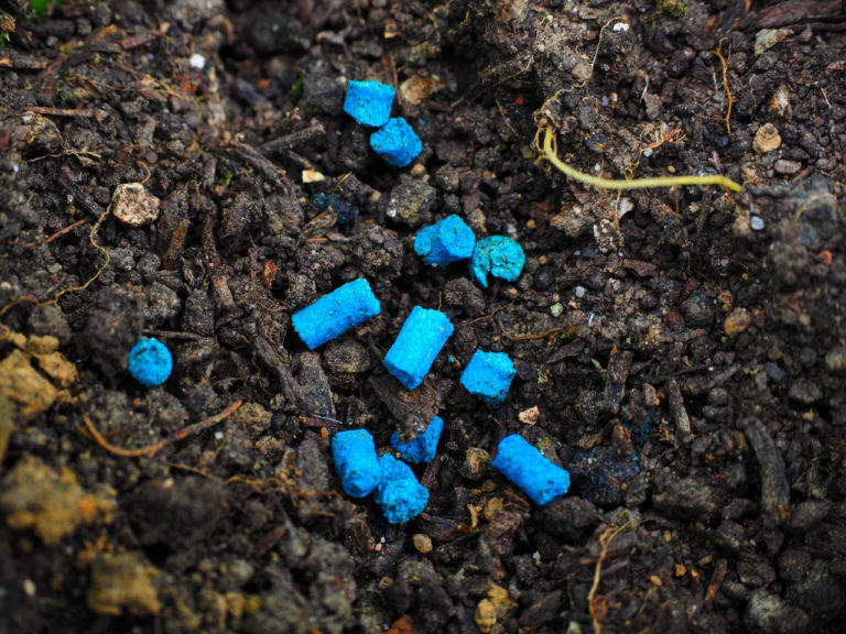 El uso de molusquicidas empeora aún más las infestaciones.