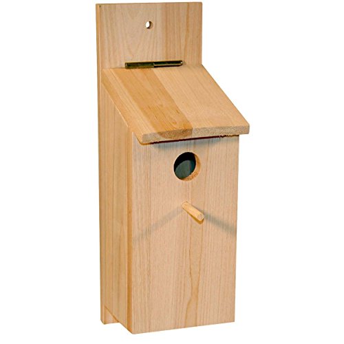 Kerbl Pet Kit de bricolaje para caja nido, casa para pájaros, 36x12x14 cm, madera natural, para herrerillos y gorriones, orificio de entrada de 32 mm, tapa con bisagra
